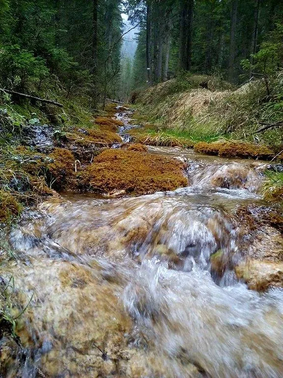 Wellness Hotel Bladen Sappada